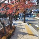 창의문로 이미지