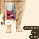 민성베이커리 | 나의 조각들