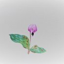 화정도서관 꽃뜰 이미지