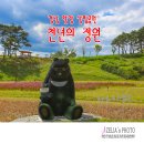 천년의 정원 이미지