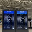 불티난닭 | [중국 경유 리장] 환승시 입국신고서, 칭다오 공항 편의점, 동방항공 기내식, 리장 공항 버스 타는법