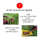 차동진농장 이미지