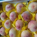 수황(황도) 이미지