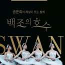 송윤희발레학원 이미지