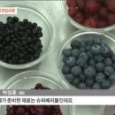 슈퍼베리 이미지