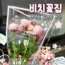 컴포즈커피 남천점 | 남천동 꽃집 | 가성비 좋은 만원 꽃다발 비치꽃집 내돈내산 후기