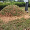 천지인장묘 이미지