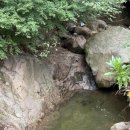 정수농산 | 광화문 근교 신비한 산사 나들이｜금선사 목정굴부터 계곡, 템플스테이까지 반나절 코스(가성비 여행)