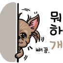 왕십리조은동물병원 이미지