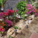 곰도리공원 이미지