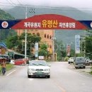 가평닷컴 네이버블로그