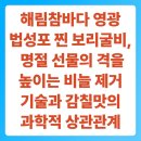 칠산산업 | 해림참바다 영광 법성포 찐 보리굴비, 명절 선물의 격을 높이는 비늘 제거 기술과 감칠맛의 과학적 상관...