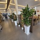 윤훈식농가쌈밥군위점 이미지