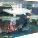 남해전도횟집 이미지