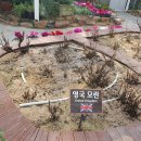 세계모란공원 이미지