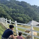 높은터목장 이미지