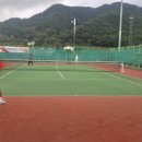 펫밀리펜션 이미지