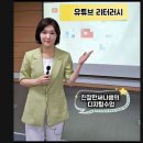 유튜브 리터러시-슬기로운 유튜브 생활 | [초등 디지털리터러시 수업후기] 슬기로운 유튜브 사용법 (feat. 미디어교육사 친절한써니쌤, 보라도서관)