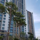 서강부동산공인중개사사무소 이미지