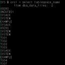 Re: 오늘의 마지막 문제1: ts 시작하는 테이블 스페이스를 다 drop 하시오 ! 이미지