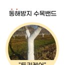 트리케어 이미지
