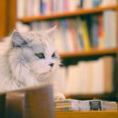 동현24시동물병원 이미지