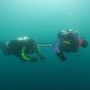 스쿠바캠프 이미지