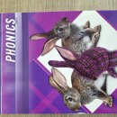 유아 파닉스 교재: PEARSON PHONICS K 후기