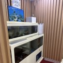 여일정 | 맛집 | 서울 여의도 회식장소 추천 해물전골 맛집 여일정 내돈내산 솔직후기 (메뉴, 주차, 영업시간)