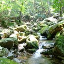 중동종로약국 이미지