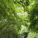 로고스 동물병원 | 시집 <혀 Lingua>의 철학적 배경 고찰- 소크라테스, 플라톤, 아리스토텔레스, 알렉산더, 공자, 장자...