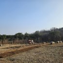 완영농장 이미지