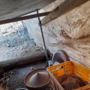 병아리펜션 이미지