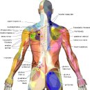 포인트메디칼 이미지