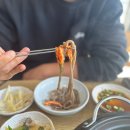 대동강초계탕 | 세화맛집 대동강초계탕 신메뉴 닭칼국수 먹은 후기