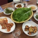 청오돼지들의세상 이미지