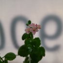 임종헌한의원 이미지