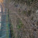 여주-0558 Daum카페