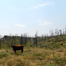 산매농장 이미지