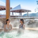 스플라스리솜 이미지