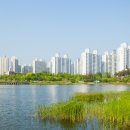 호수공원 이미지