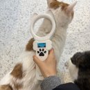 숲 동물병원 펫스테이션점 이미지