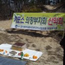 광성카독크 이미지