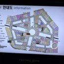 동그리아 이미지