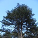 진주 대각서원 이미지