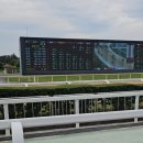 렛츠런파크 제주 | 제주도 경마공원 처음 가본 후기｜렛츠런파크 제주 하는 방법