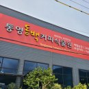 통영 미륵미륵 맥주호스텔, 동백커피식물원 방문후기
