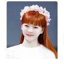 화이트워싱 이미지