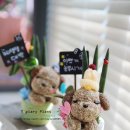 개 이쁘개 이미지