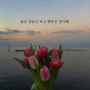 현 시장에 대응하는 미용실 영업계획및 마케팅전략